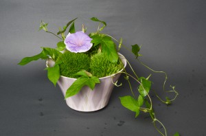 「彩色正燕子鉢」高さ13.8cm、径21.5cm